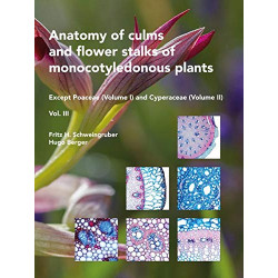 Anatomy of culms and flower stalks of monocotyledonous plants.
